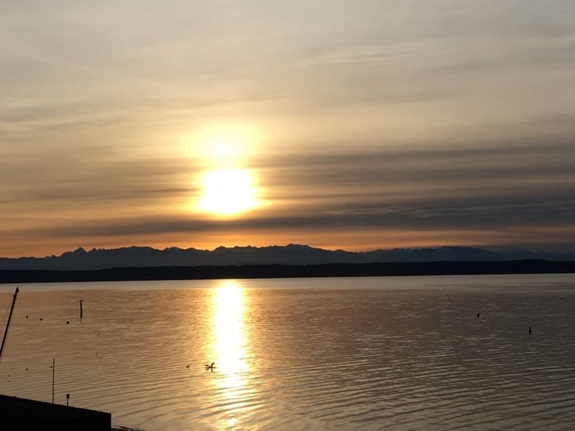 Click to View Larger