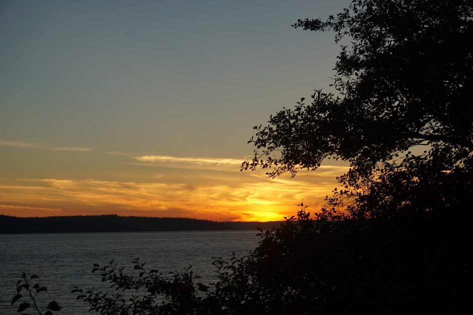 Click to View Larger