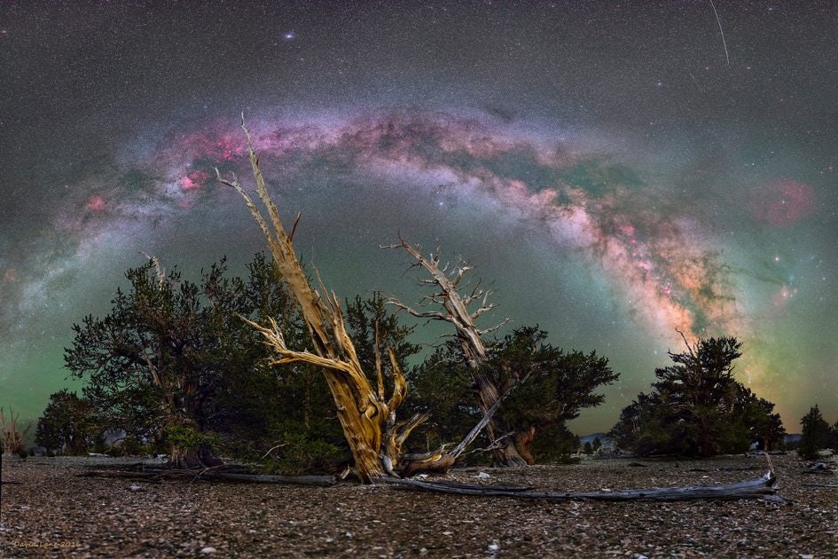 Click to View Larger