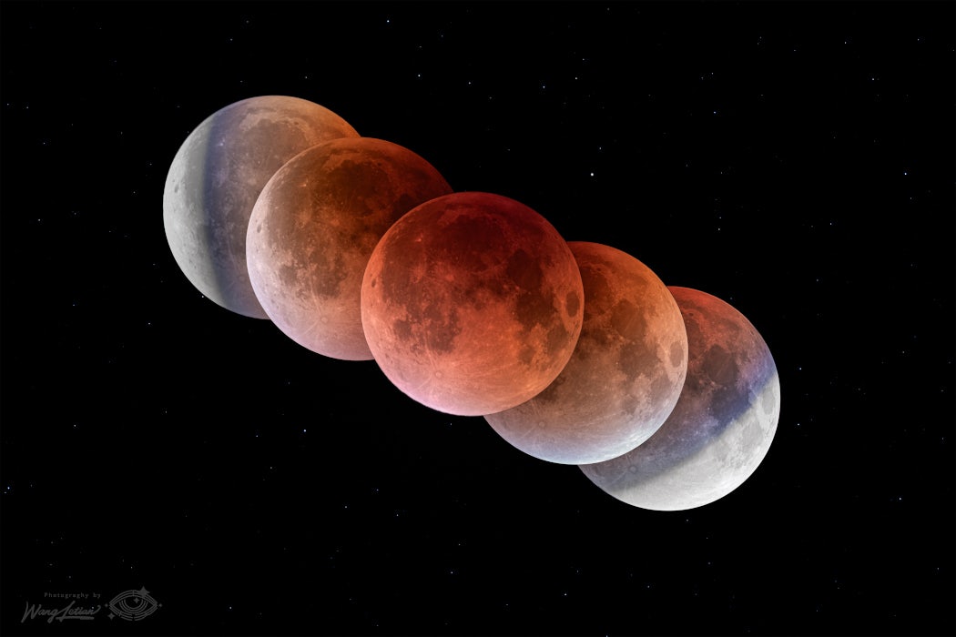 Click to View Larger