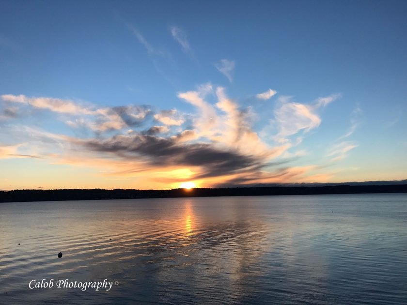 Click to View Larger