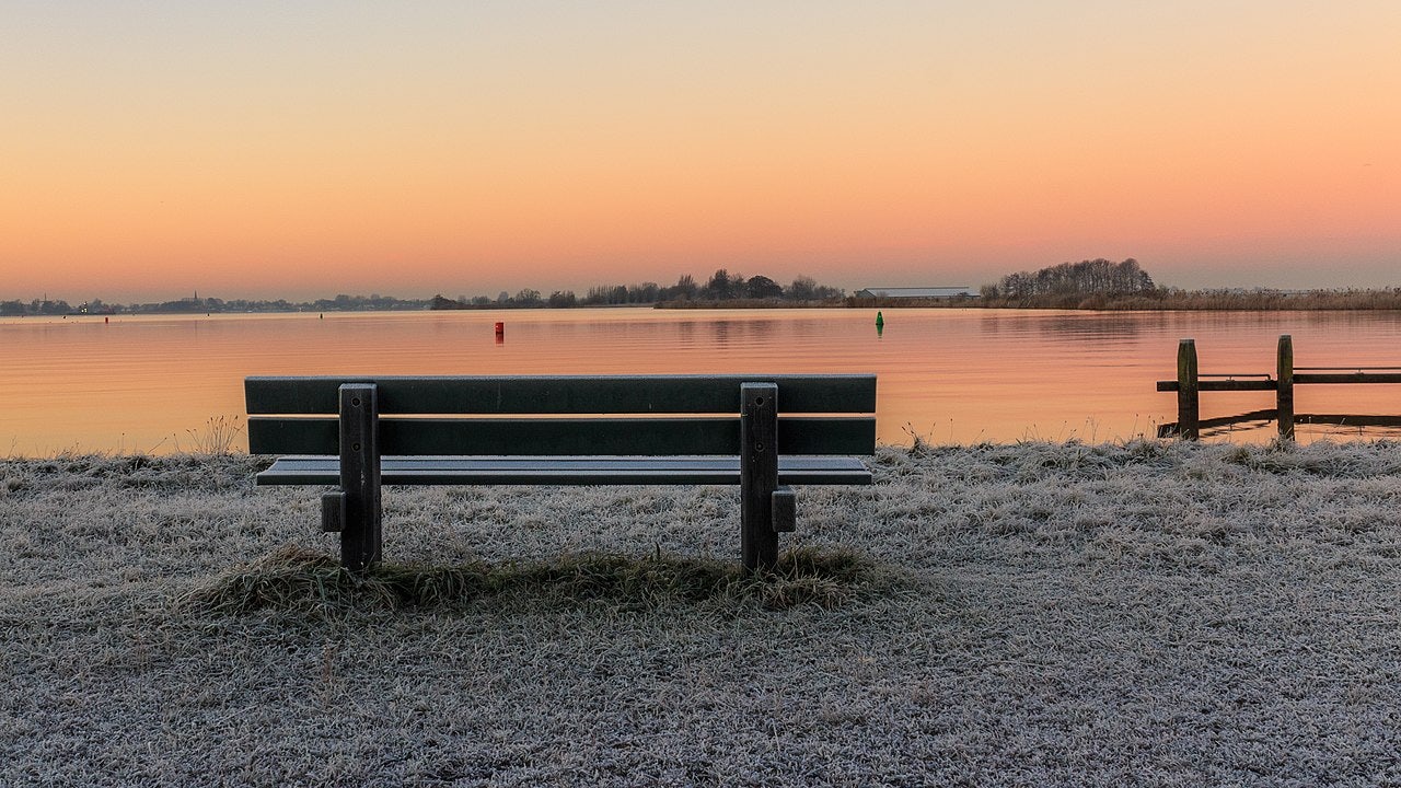 Click to View Larger