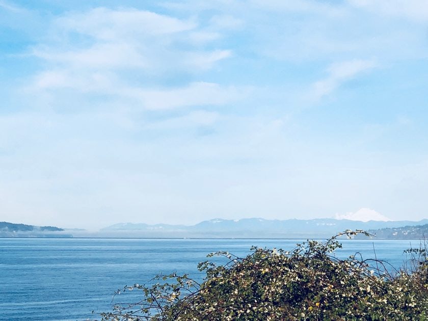 Click to View Larger