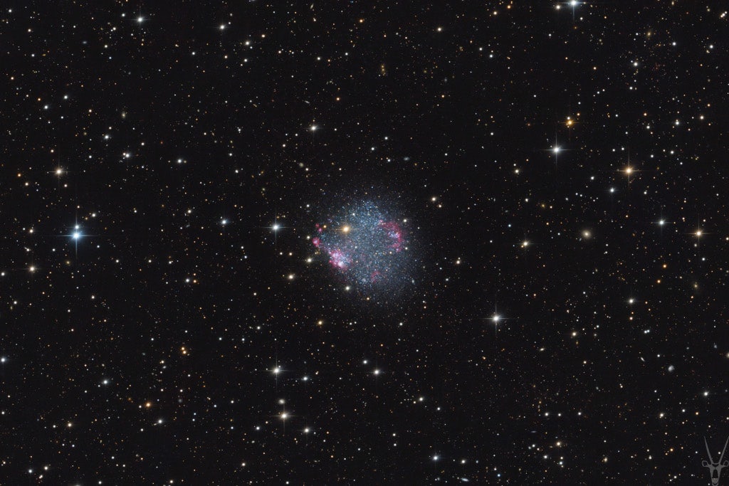 Click to View Larger