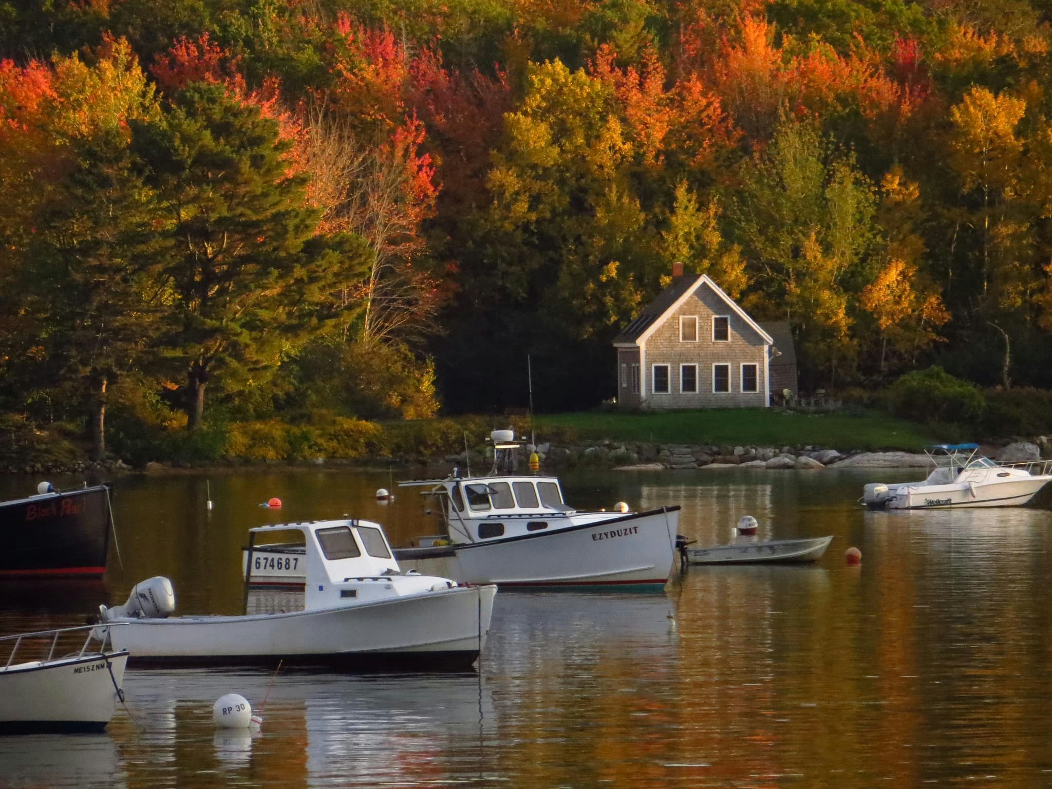 Click to View Larger