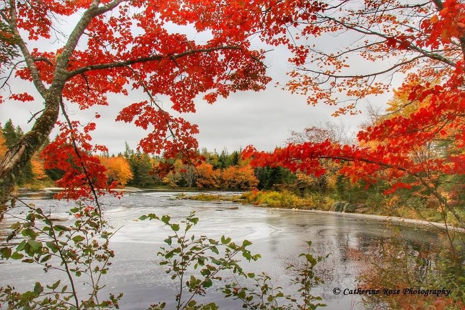 Click to View Larger