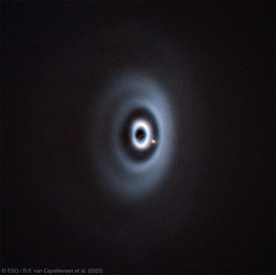 Click to View Larger