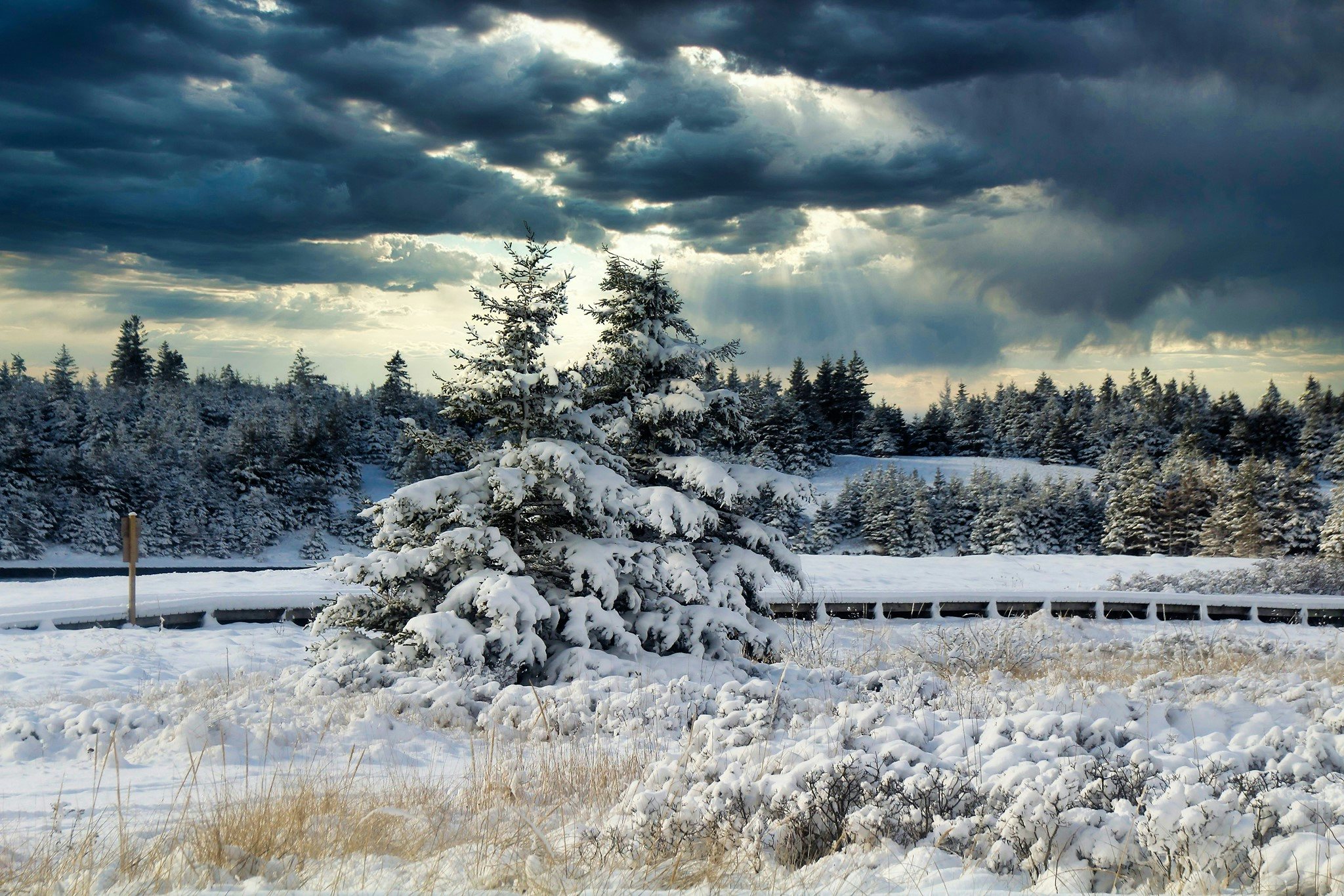 Click to View Larger