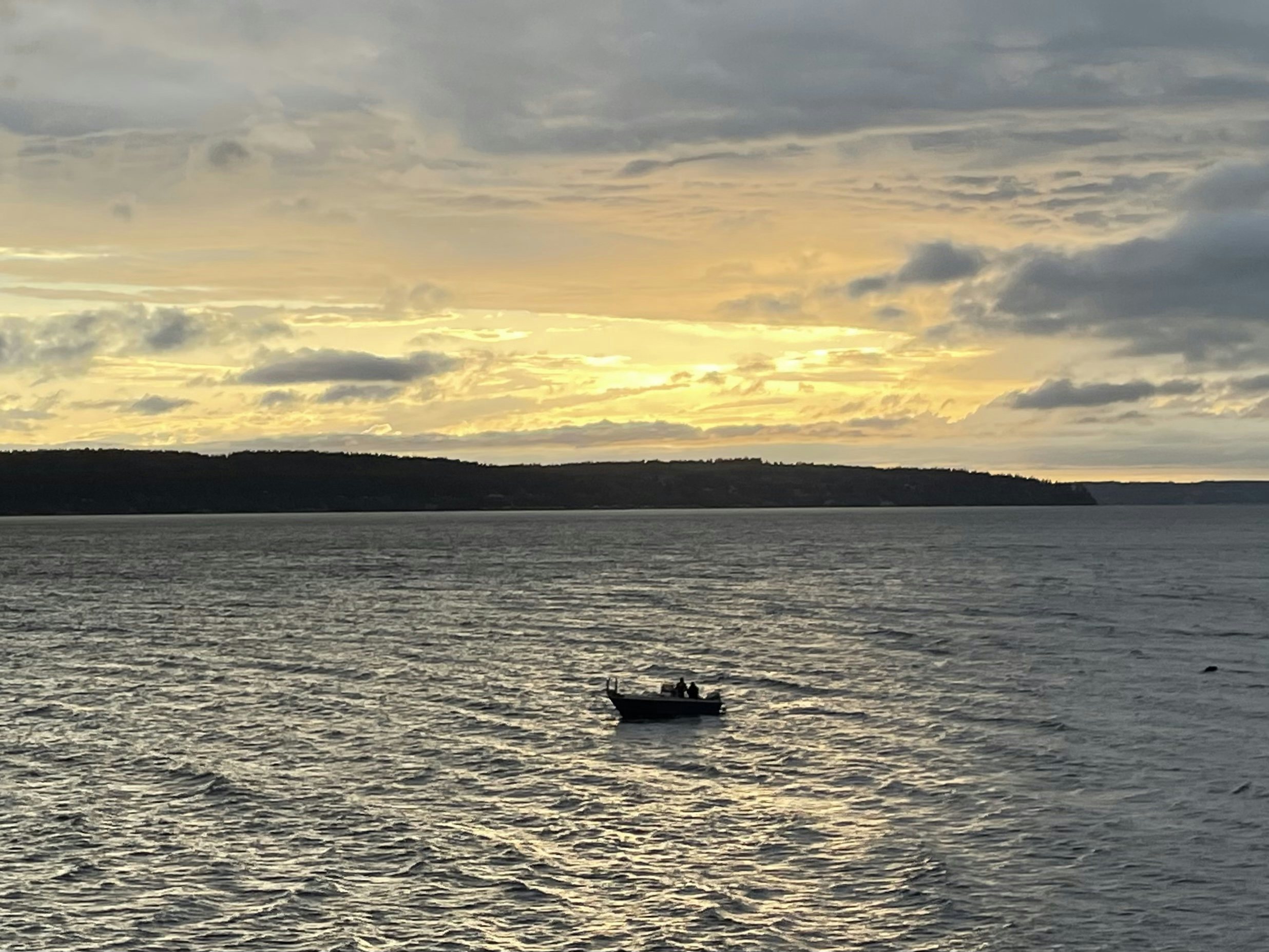 Click to View Larger