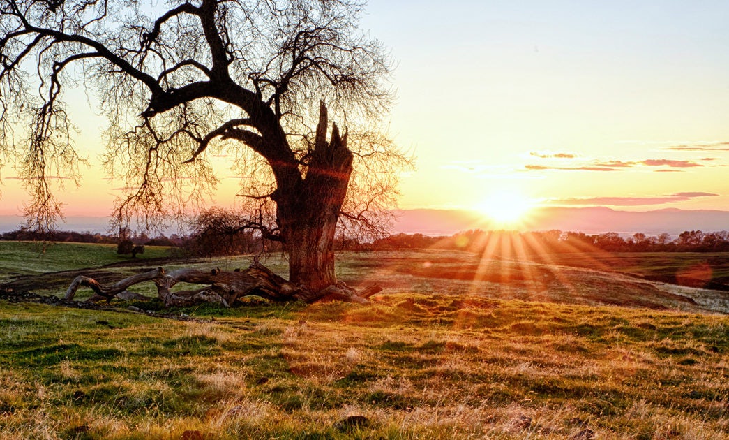 Click to View Larger