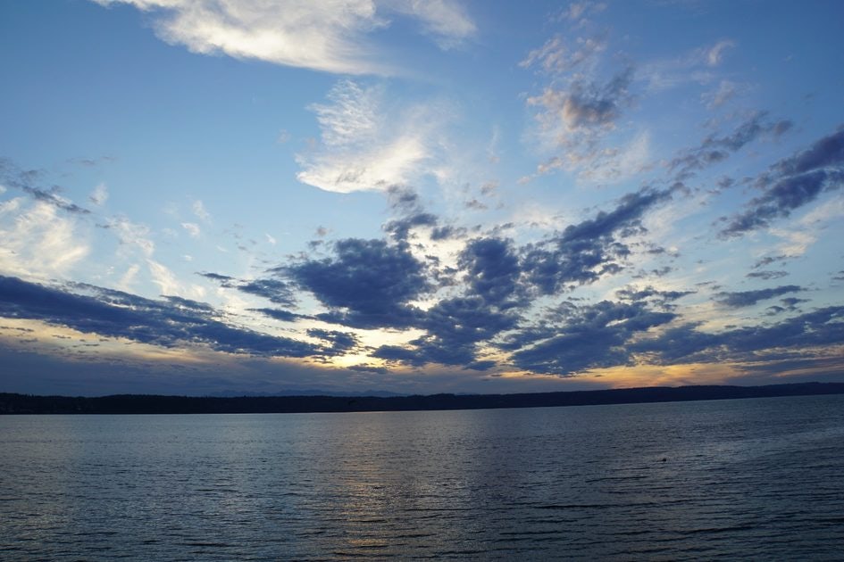 Click to View Larger