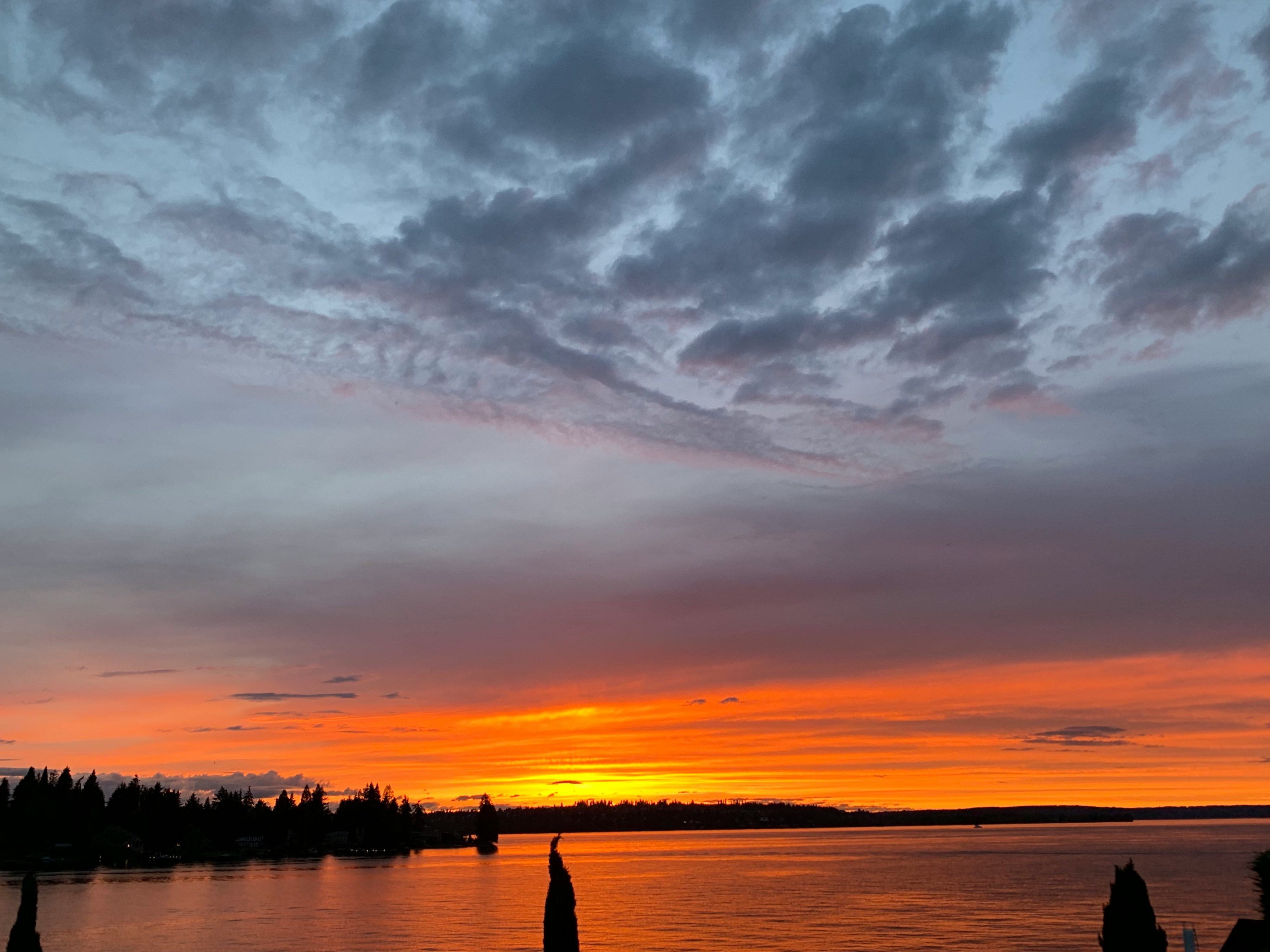 Click to View Larger