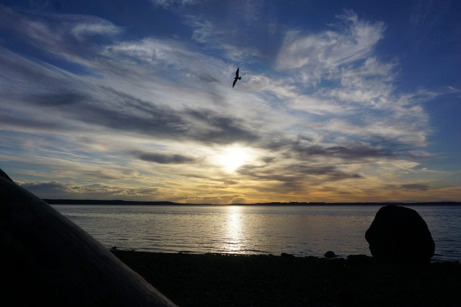 Click to View Larger