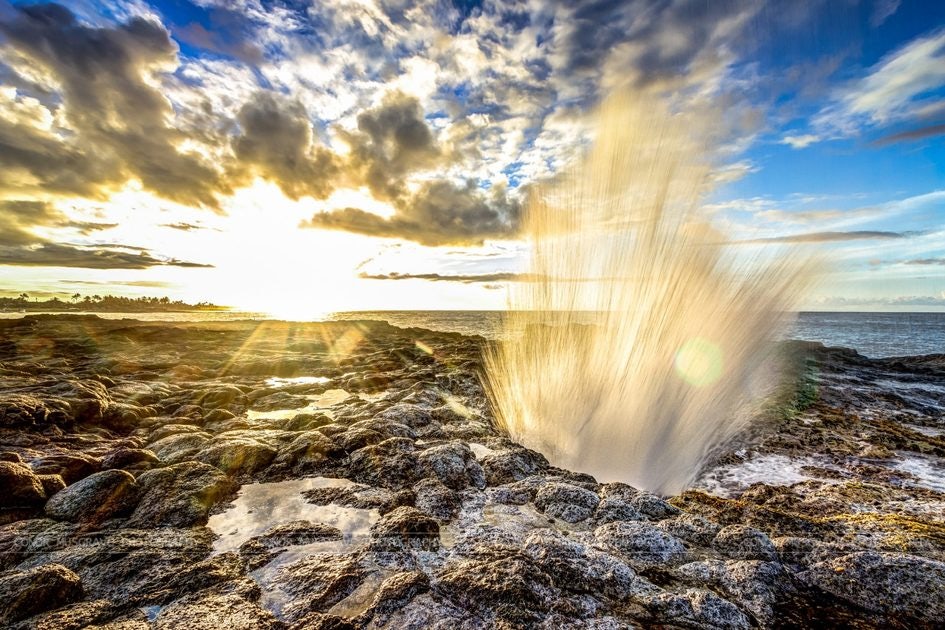 Click to View Larger