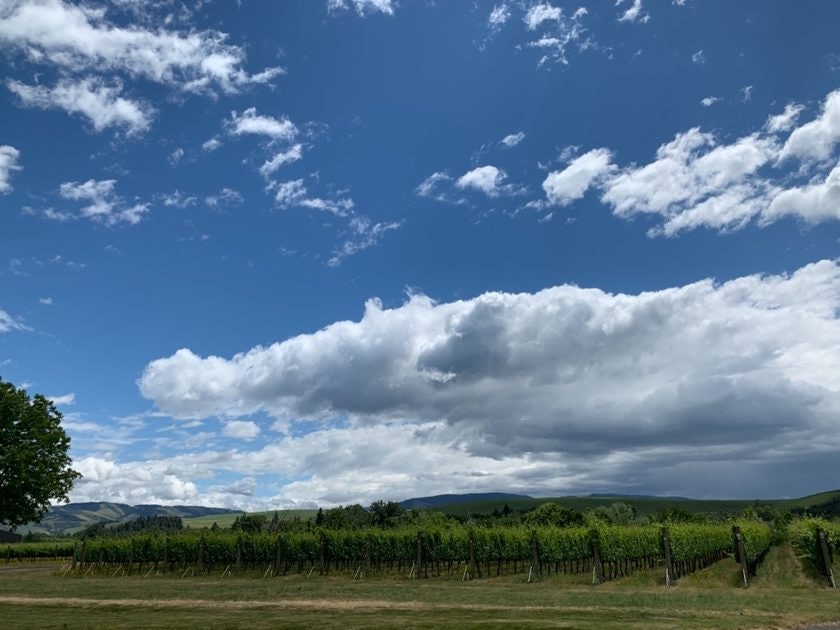 Click to View Larger