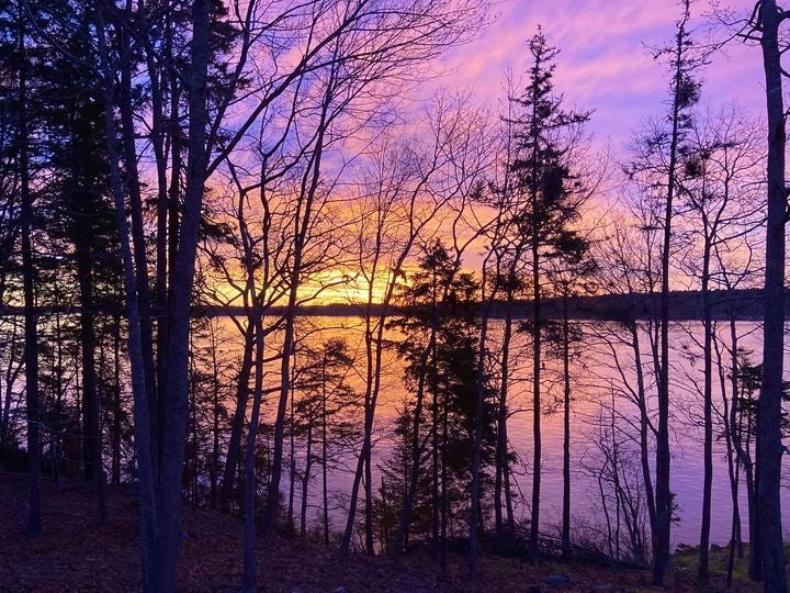 Click to View Larger