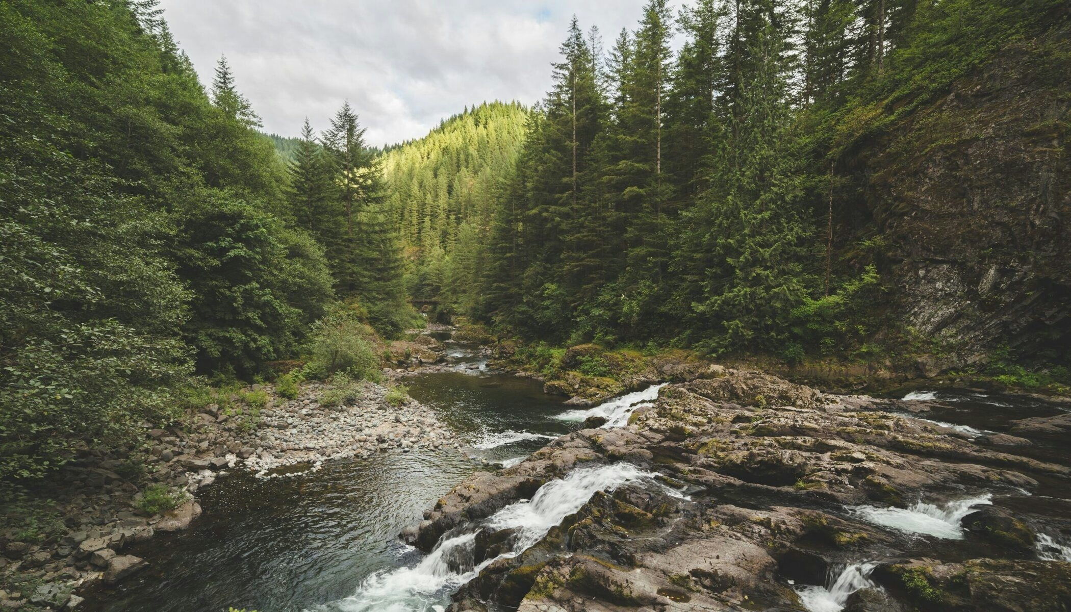 View More About This URL