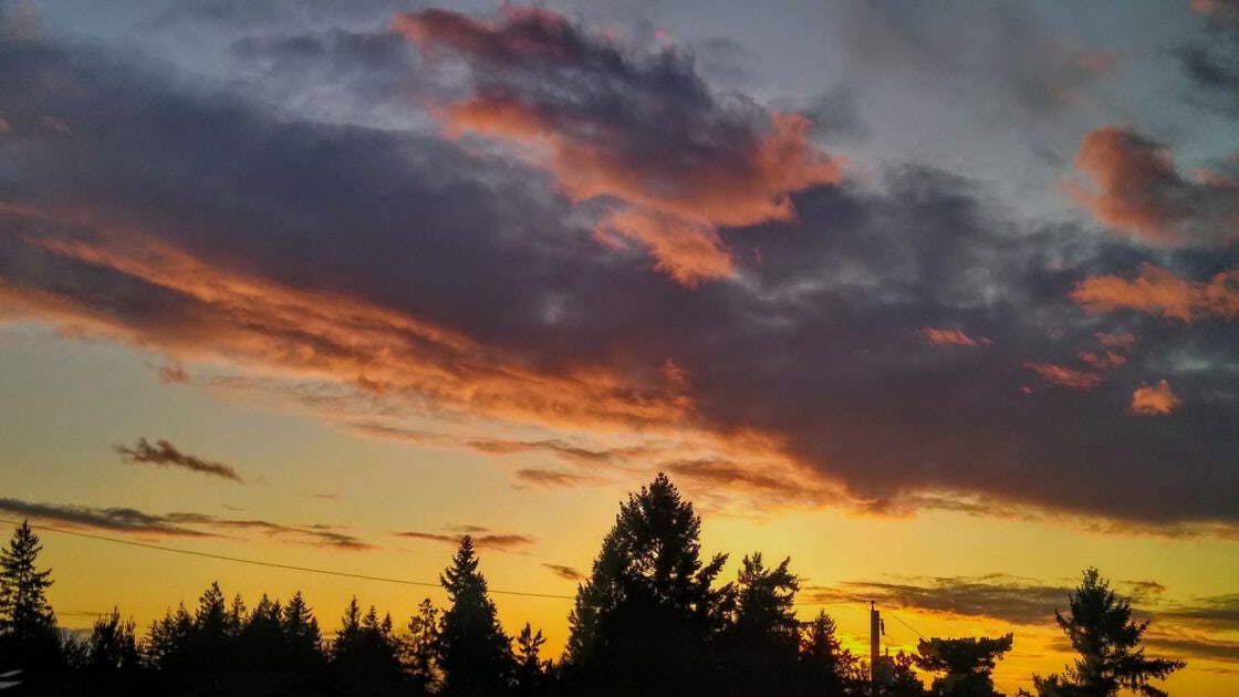 Click to View Larger