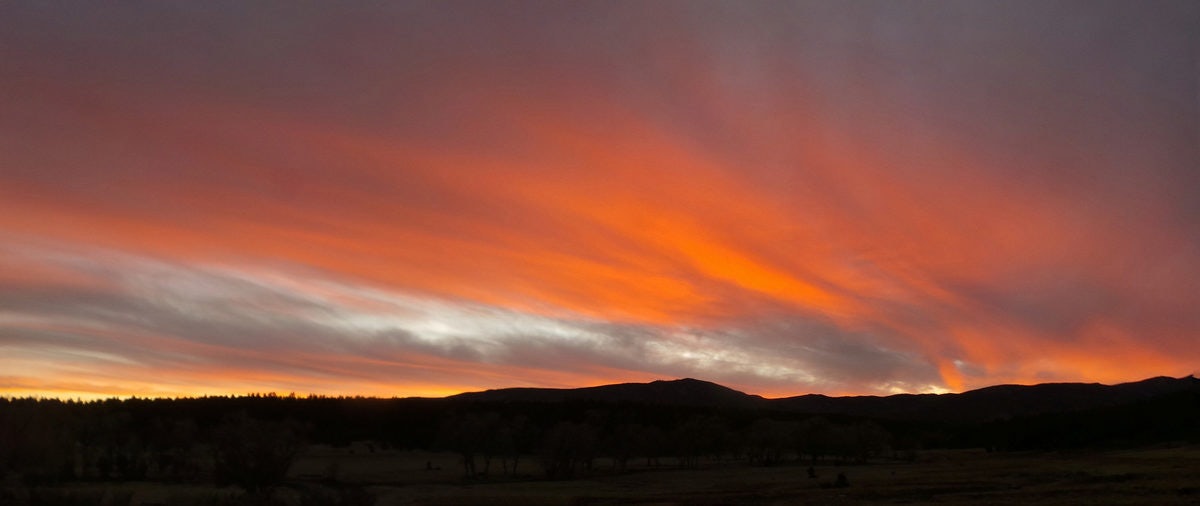 Click to View Larger