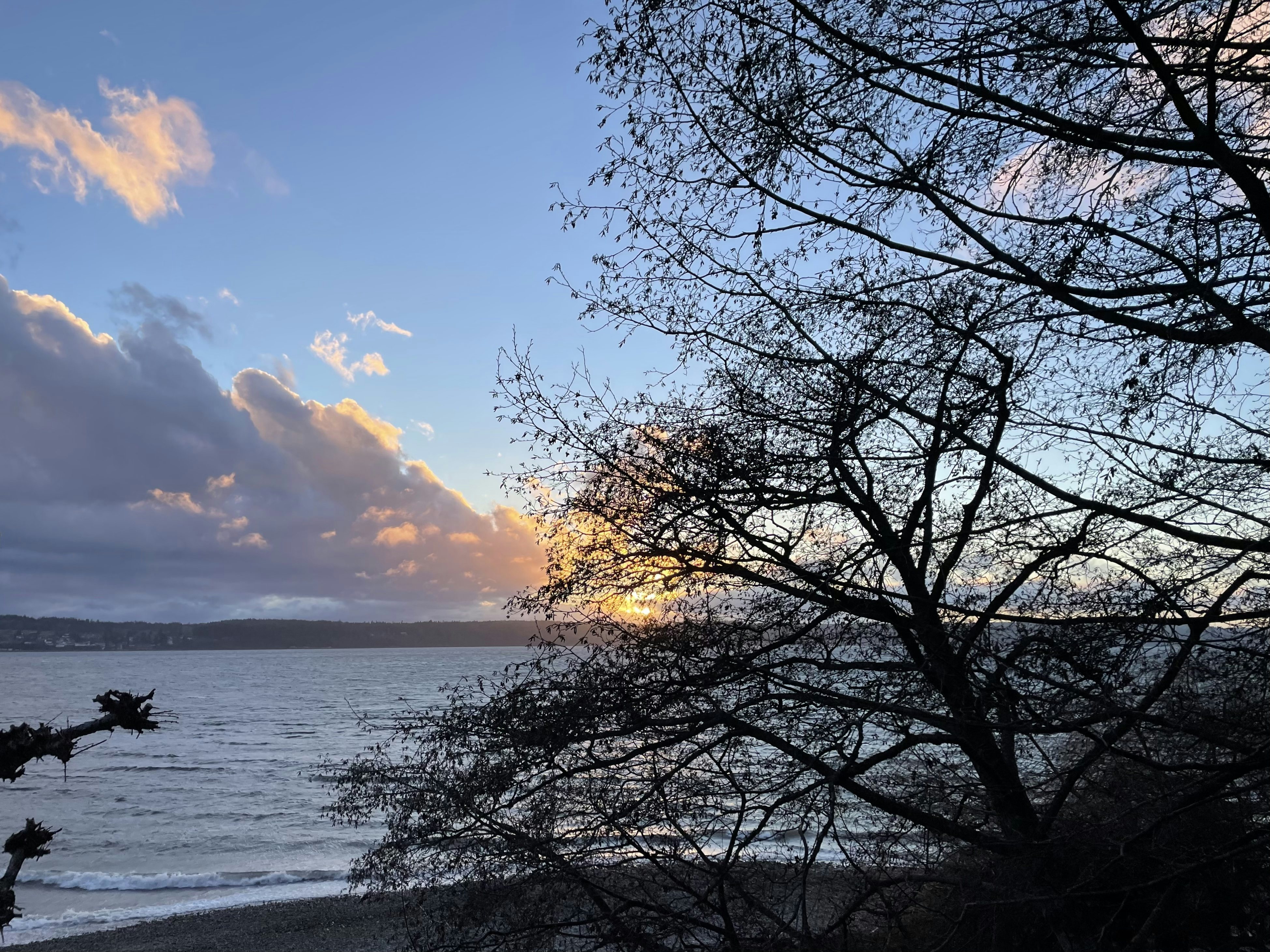 Click to View Larger