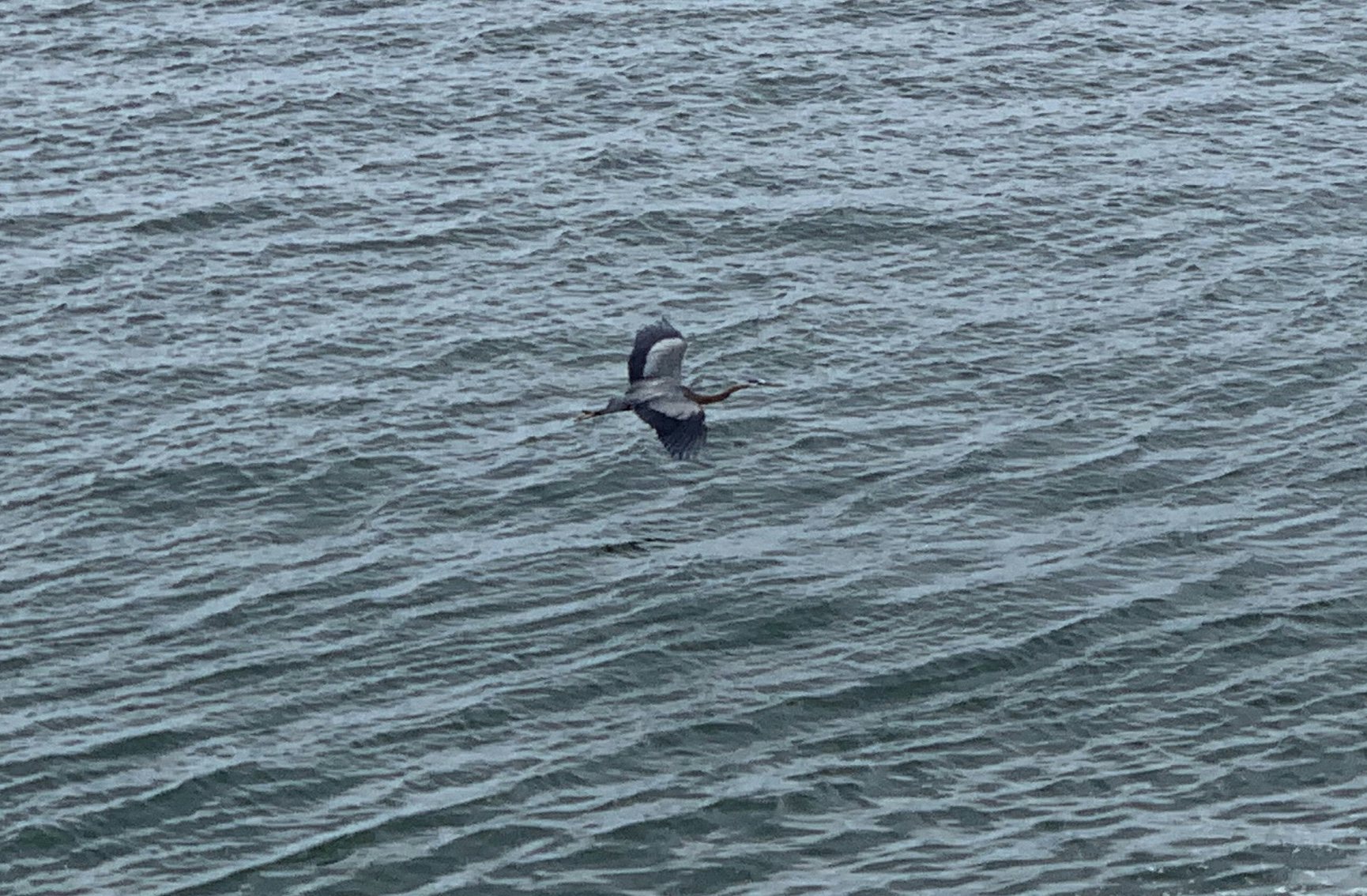 Click to View Larger