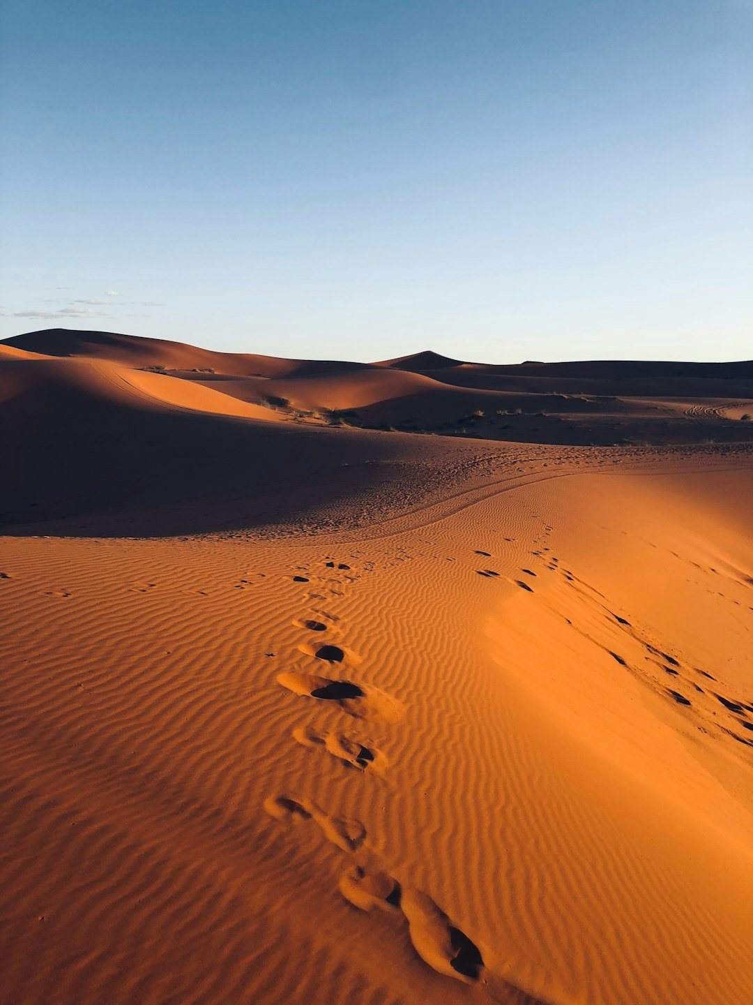 Click to View Larger