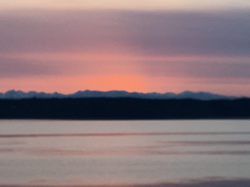 Click to View Larger