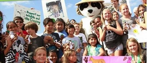 Click to View Larger