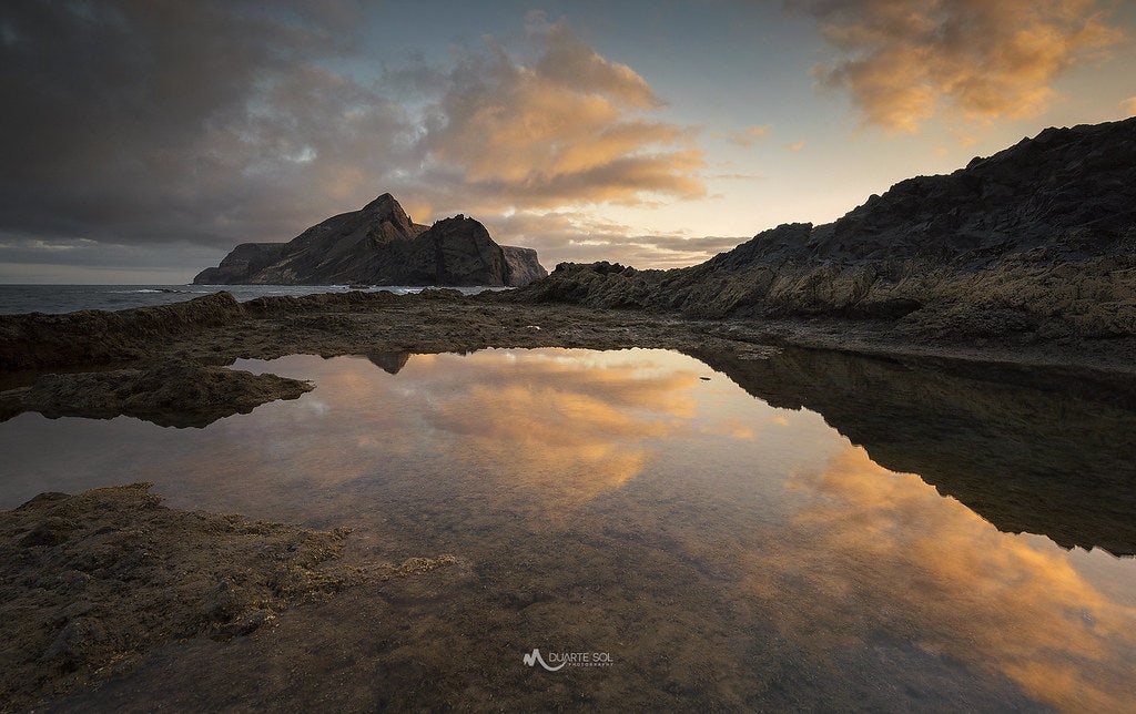 Click to View Larger