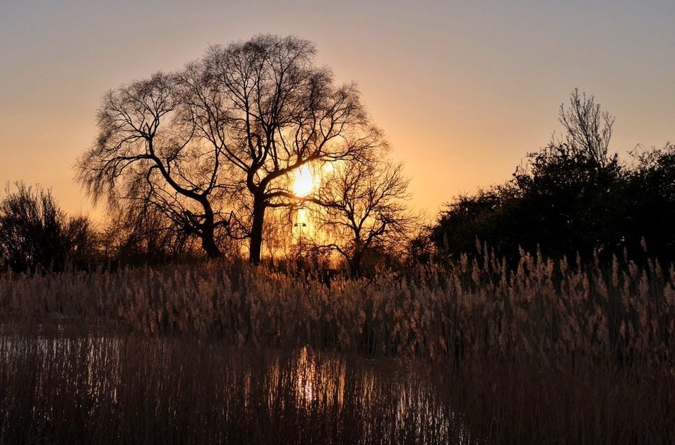 Click to View Larger