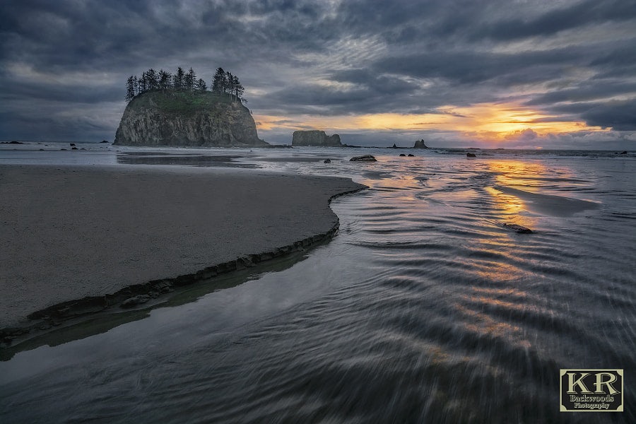 Click to View Larger