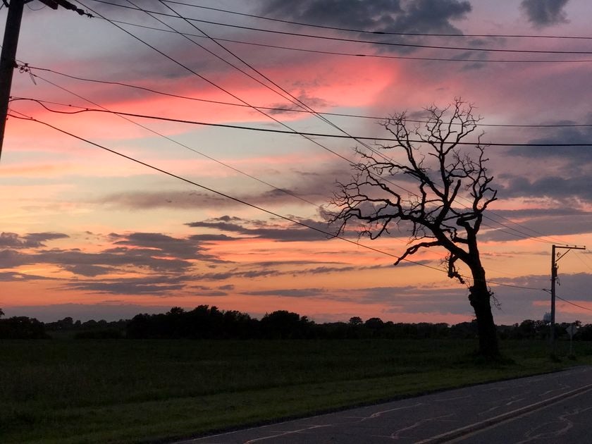 Click to View Larger