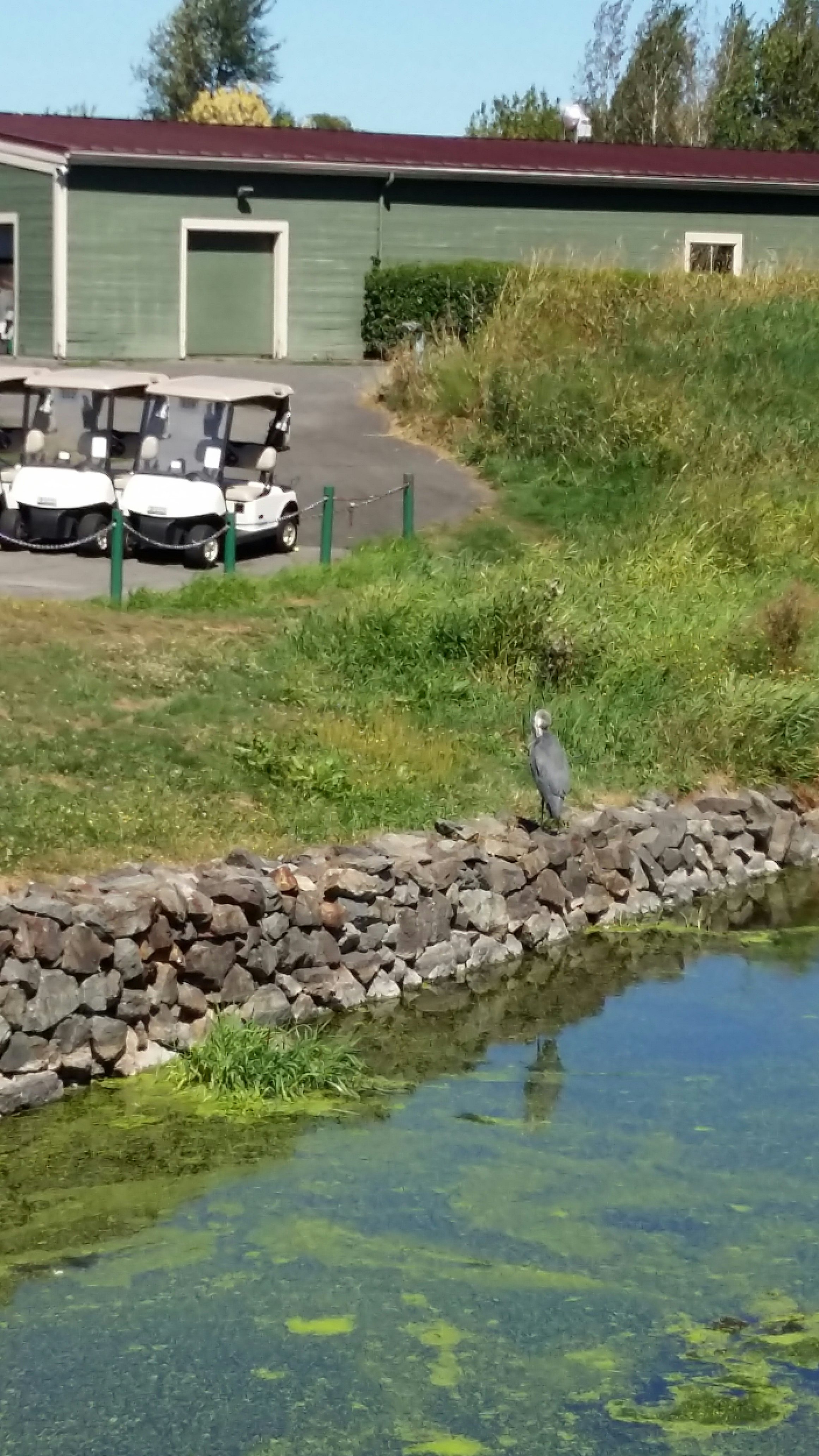 Click to View Larger