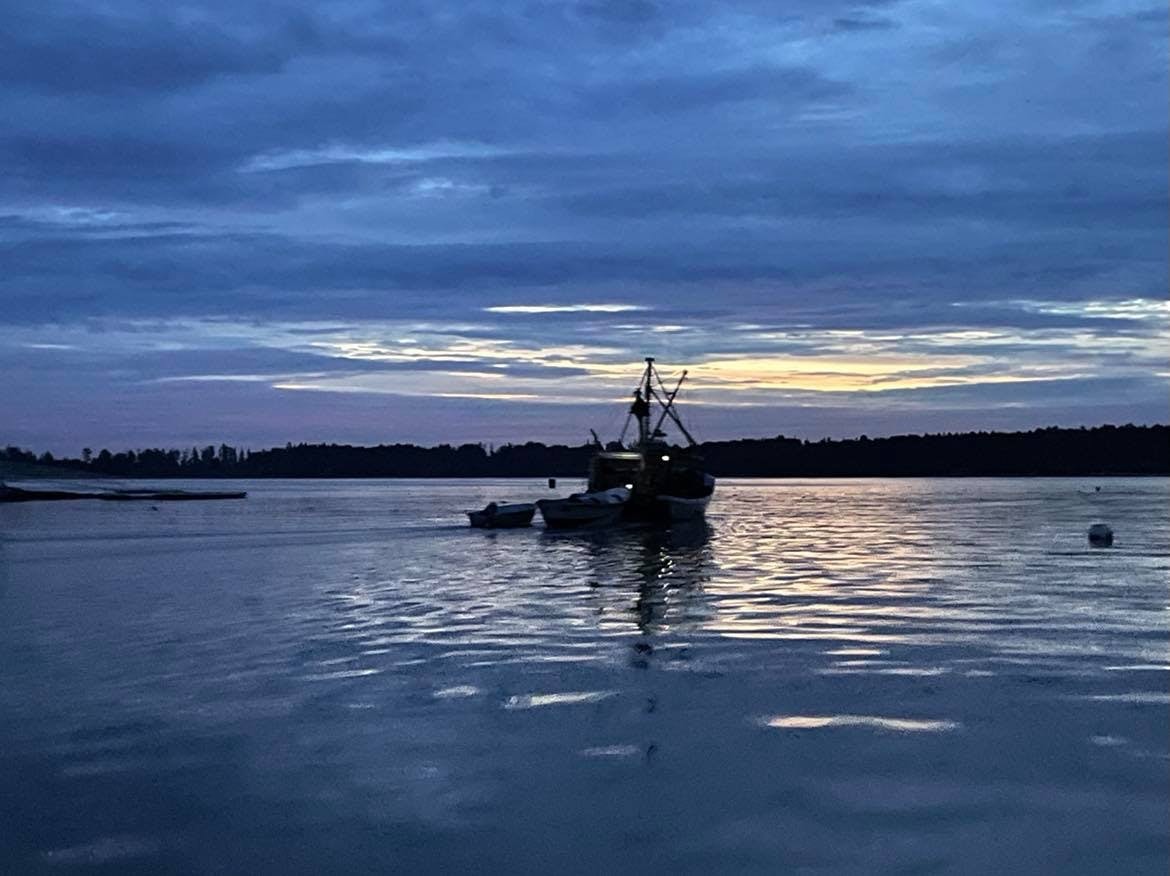 Click to View Larger