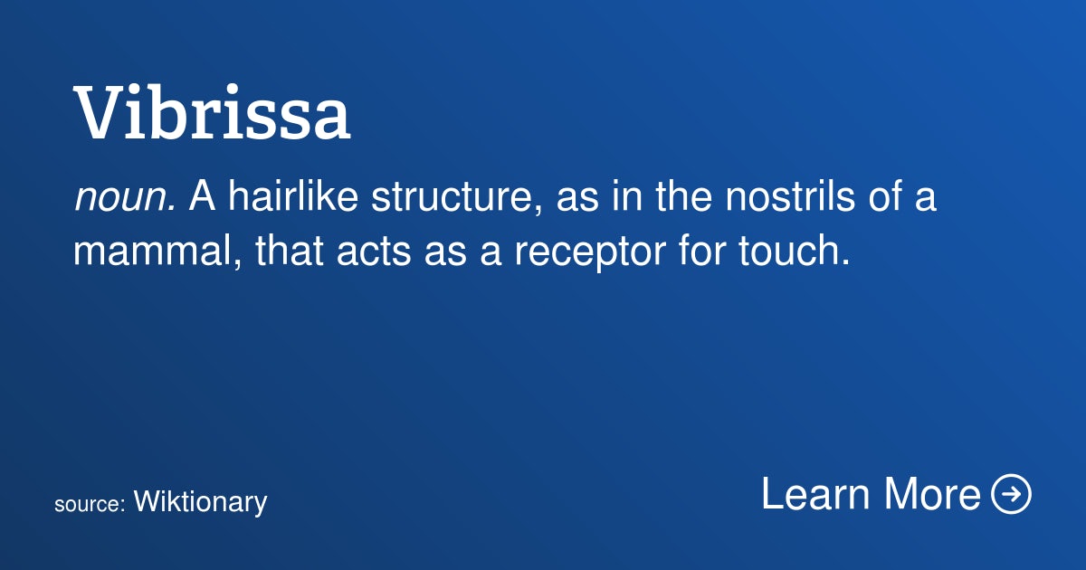 Click to View Larger