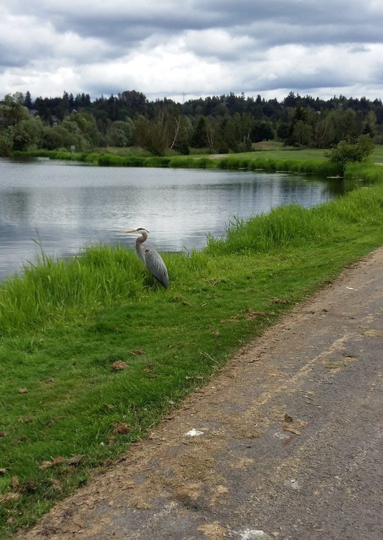 Click to View Larger