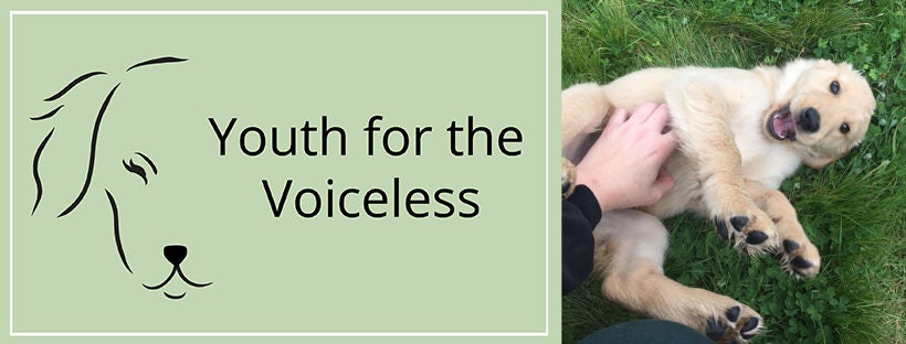 Click to View Larger