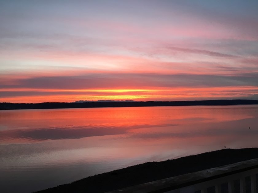 Click to View Larger