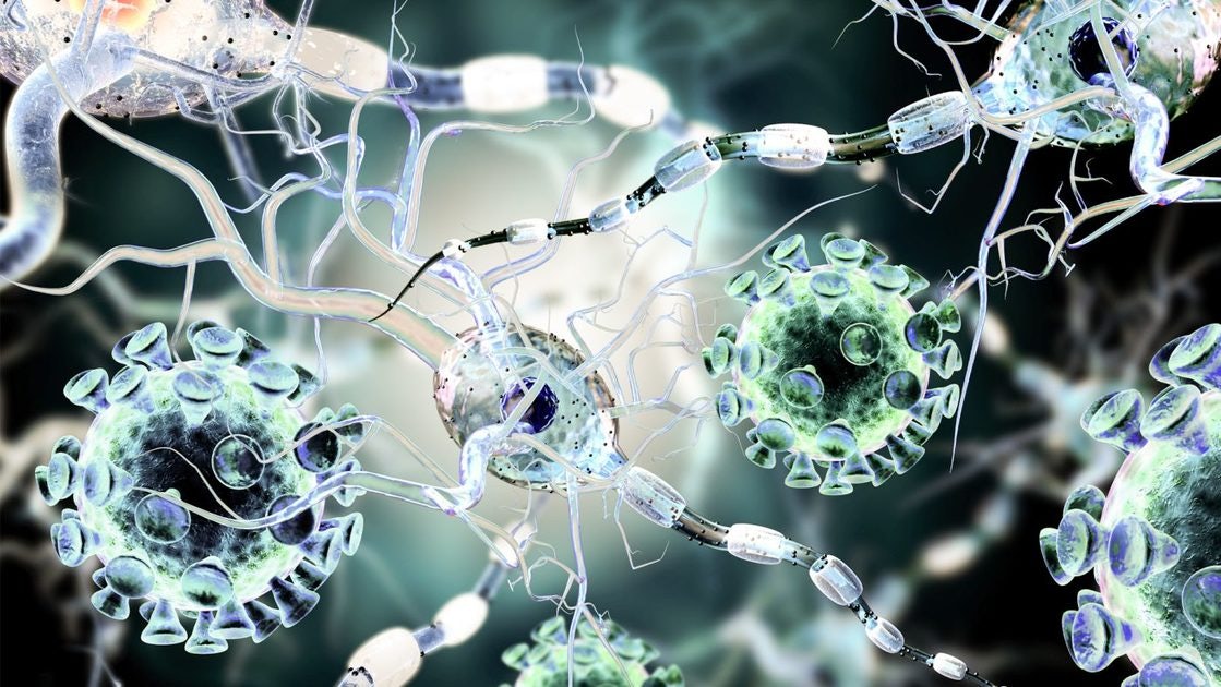 Click to View Larger