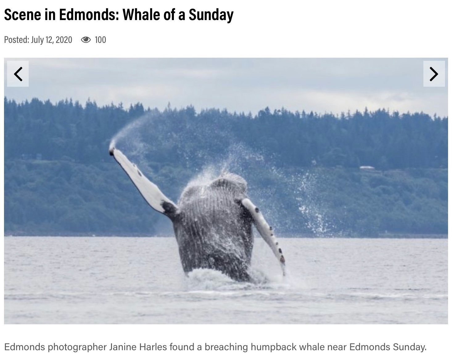 Click to View Larger