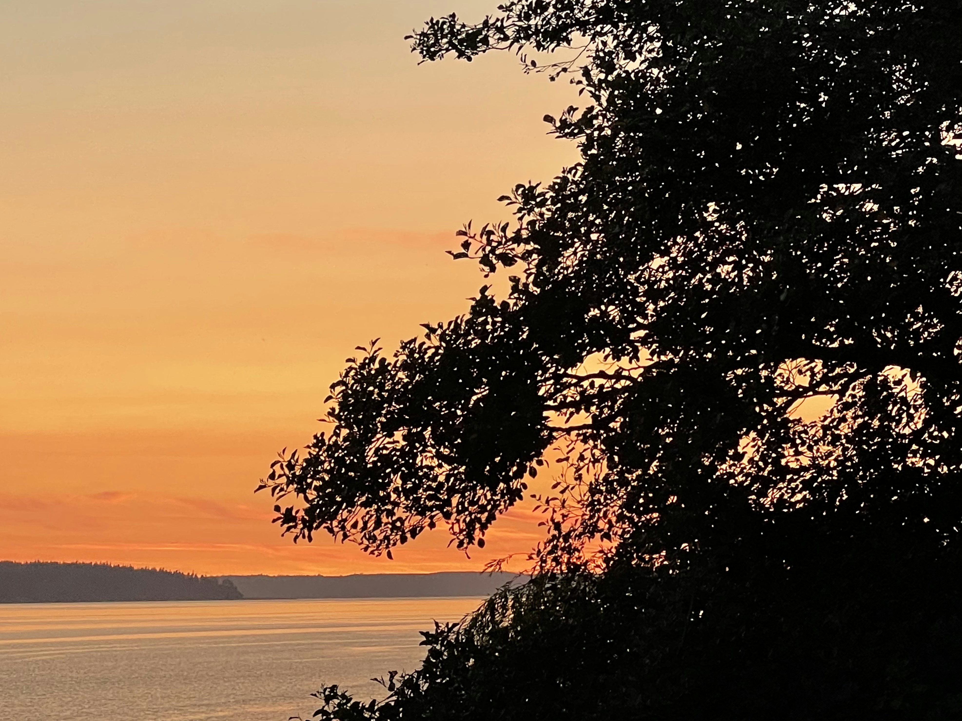 Click to View Larger