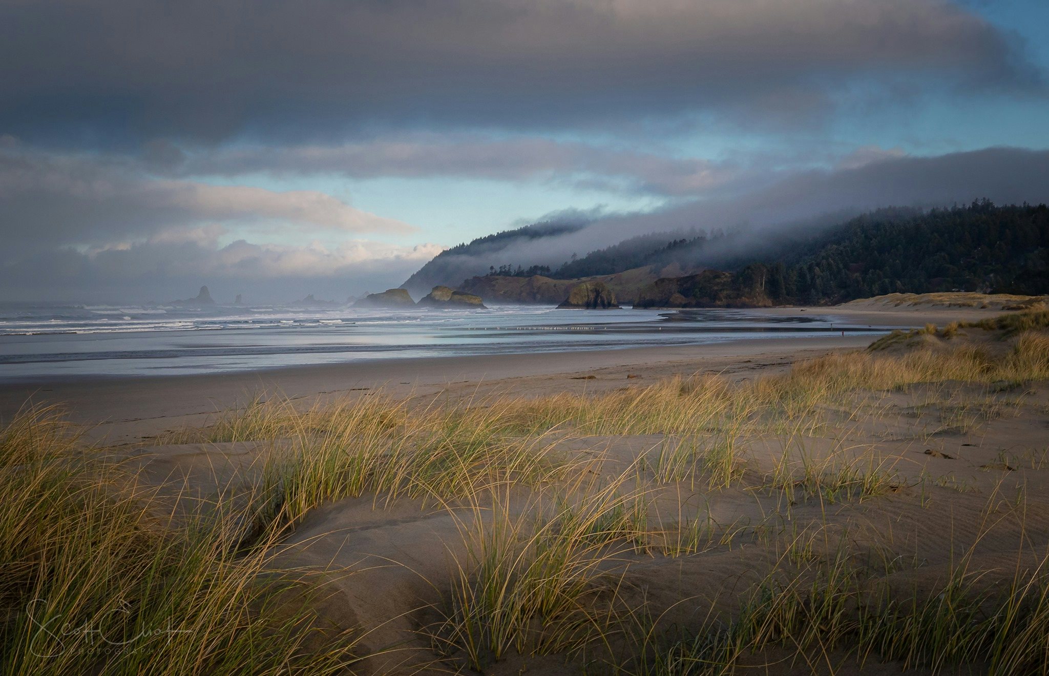 Click to View Larger