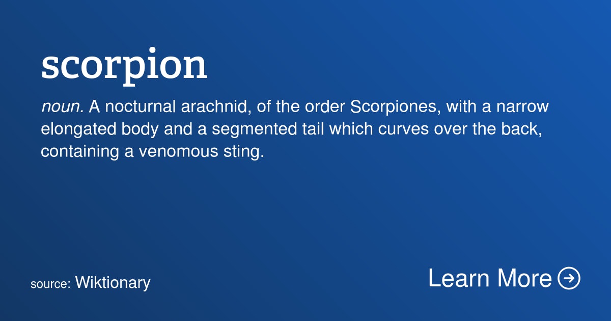 Click to View Larger