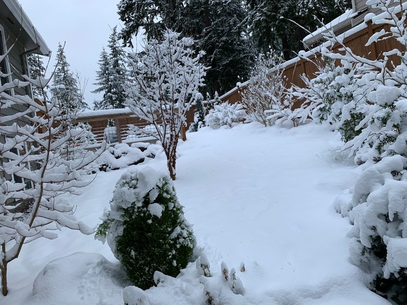 Click to View Larger