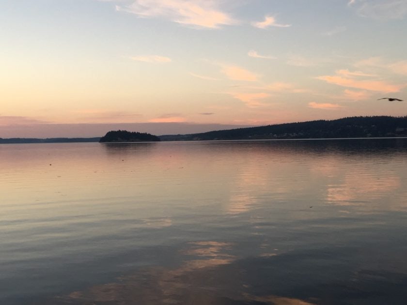 Click to View Larger