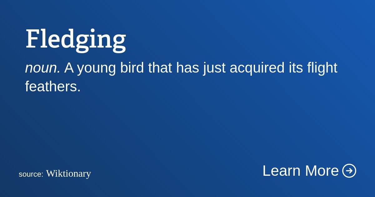 Click to View Larger