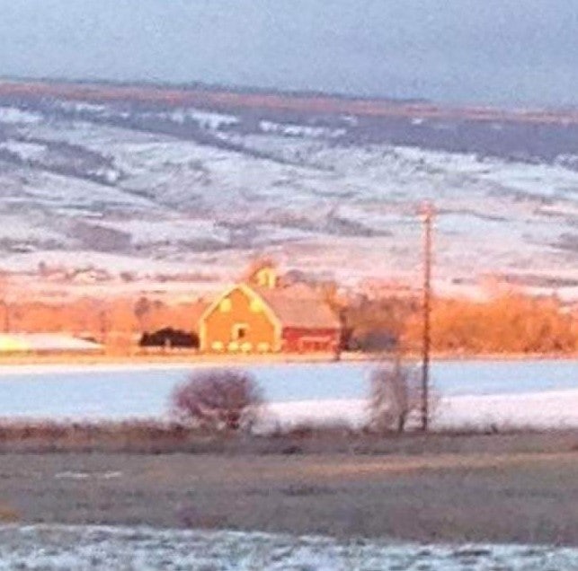 Click to View Larger