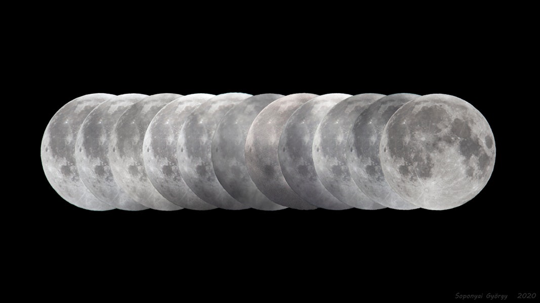 Click to View Larger