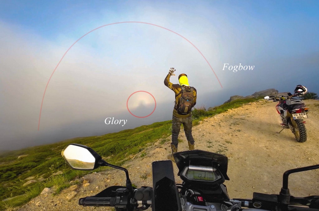 Click to View Larger