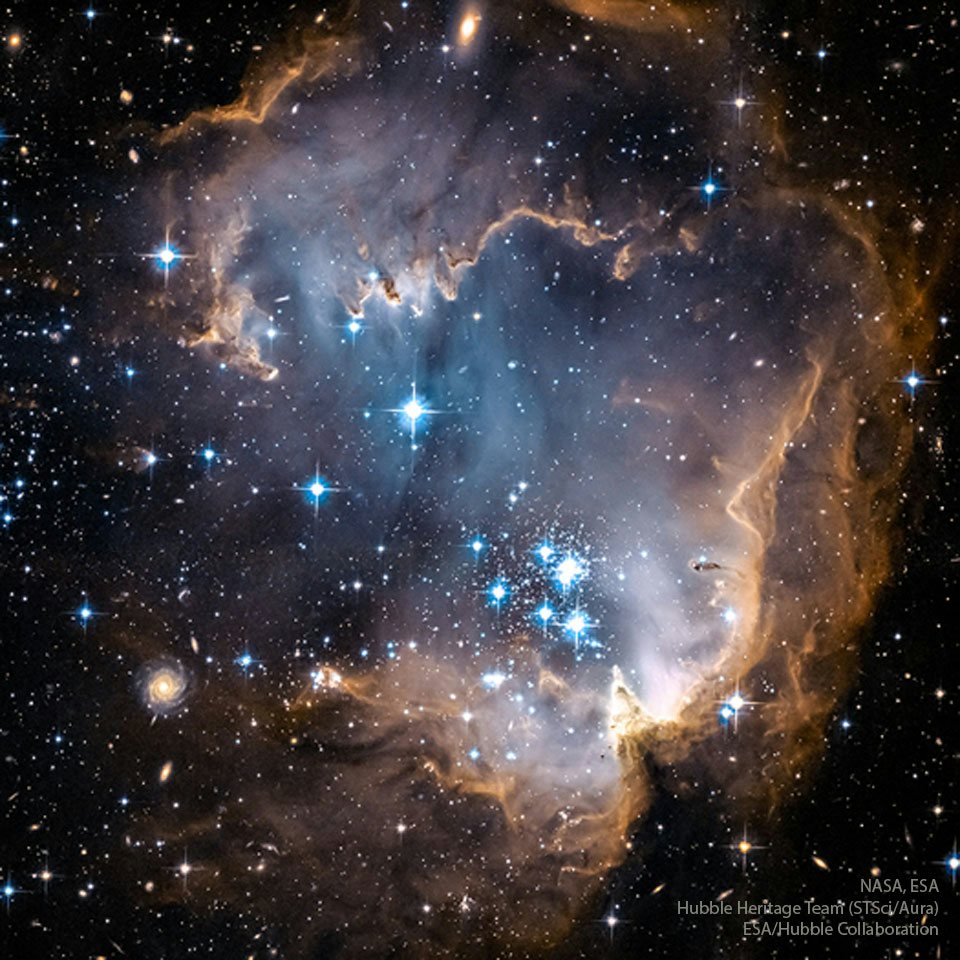 Click to View Larger